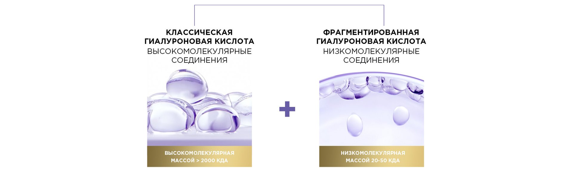2000600 5